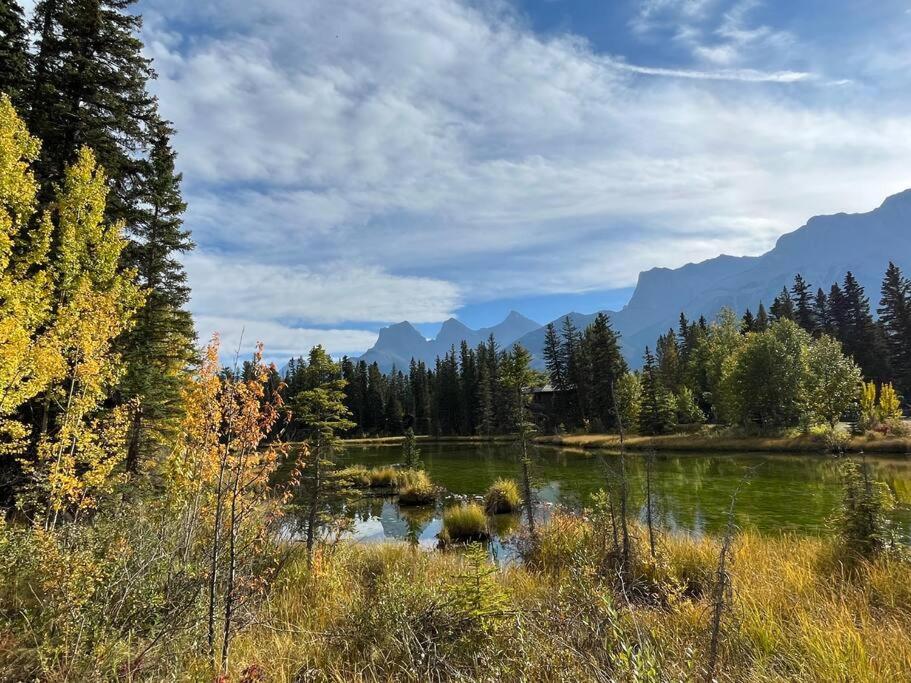 C303 Hidden Gem with MTN andCreek View, Quiet and Private