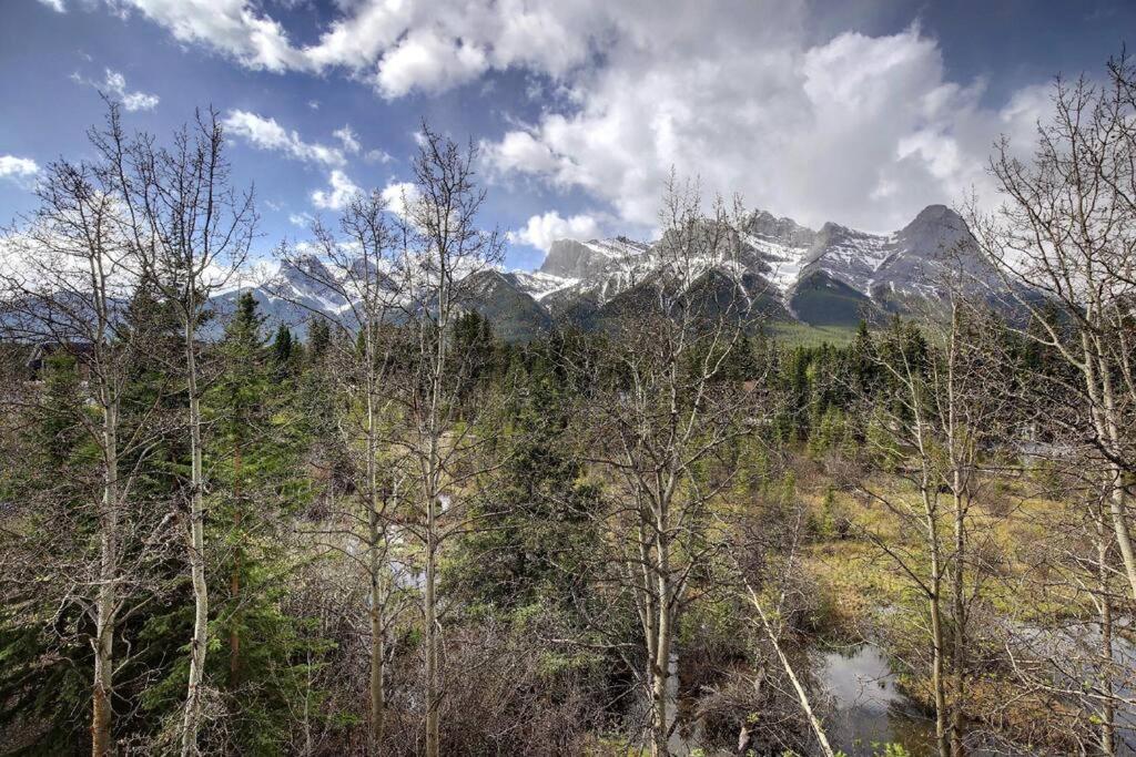 C303 Hidden Gem with MTN andCreek View, Quiet and Private