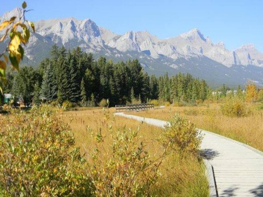 C303 Hidden Gem with MTN andCreek View, Quiet and Private