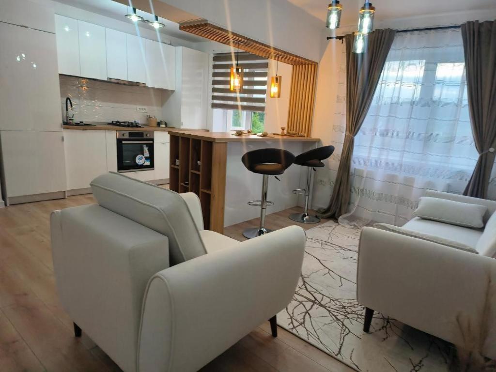 Apartament Theodora view 3
