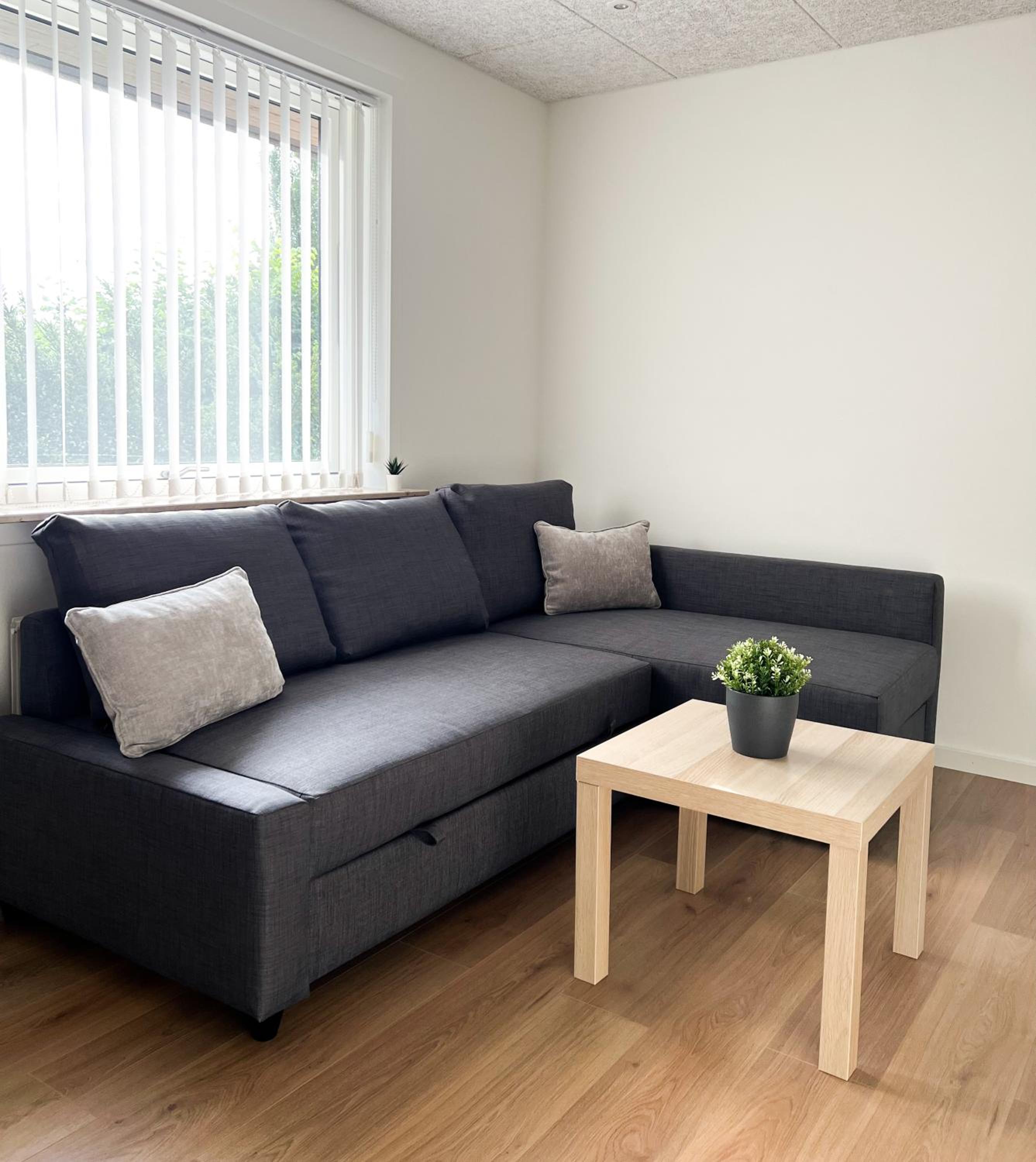 Lovely Billund Apartment by KIRIJA view 3