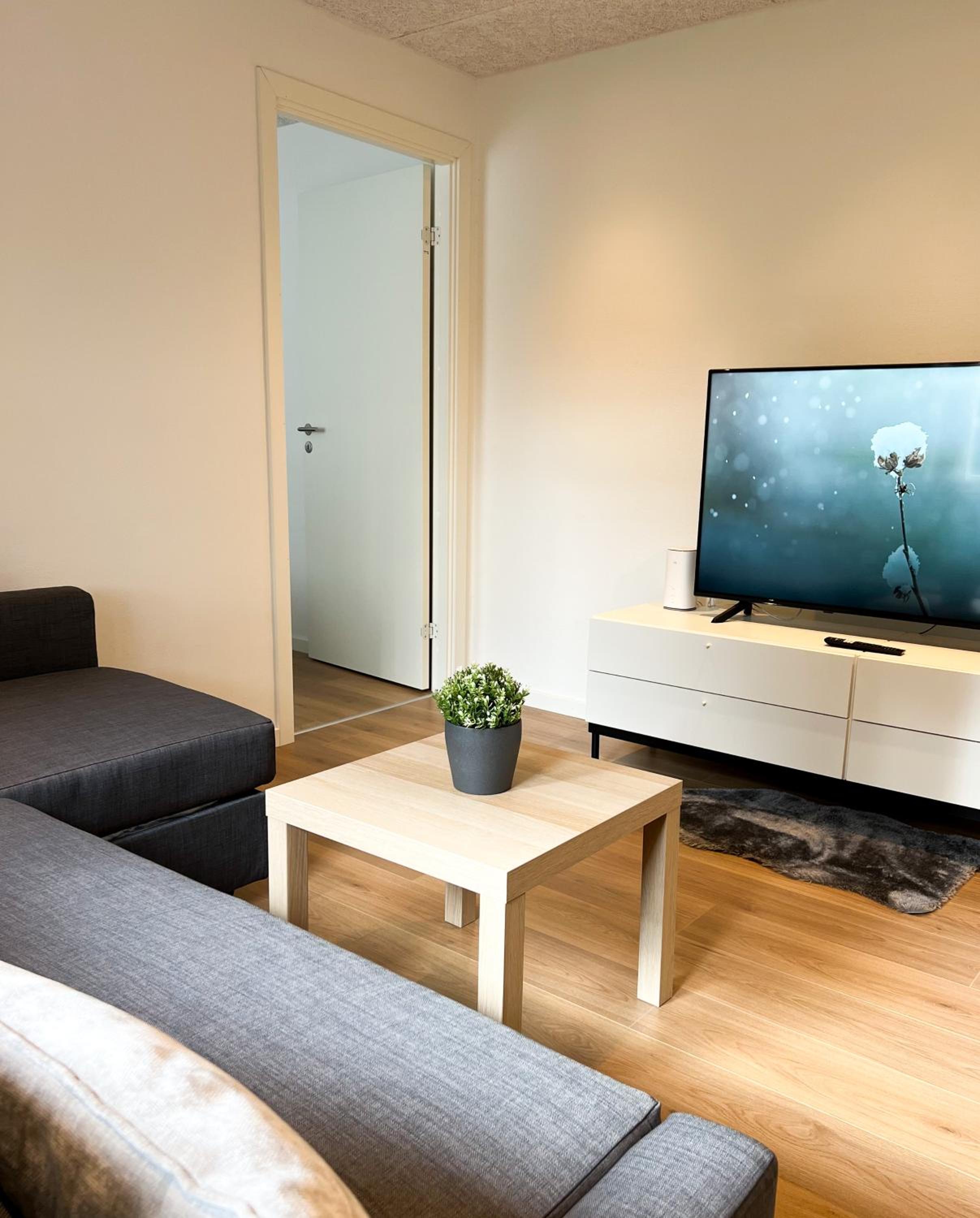 Lovely Billund Apartment by KIRIJA view 2