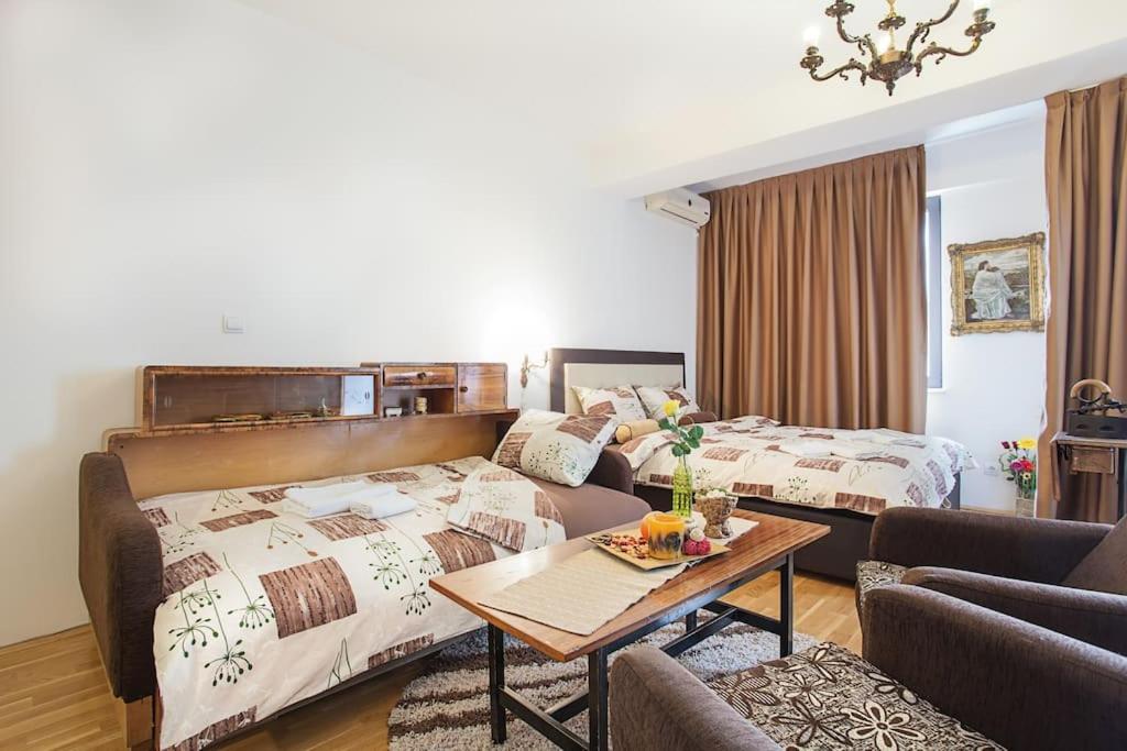 DOWNTOWN COZY STUDIO APARTMENt