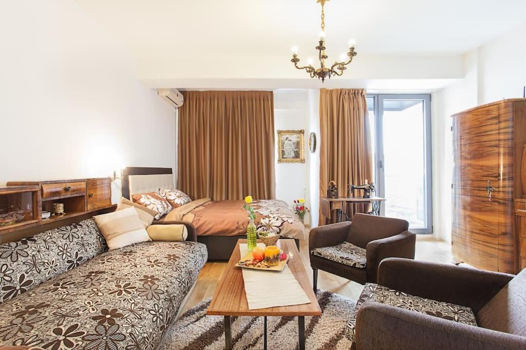 DOWNTOWN COZY STUDIO APARTMENt