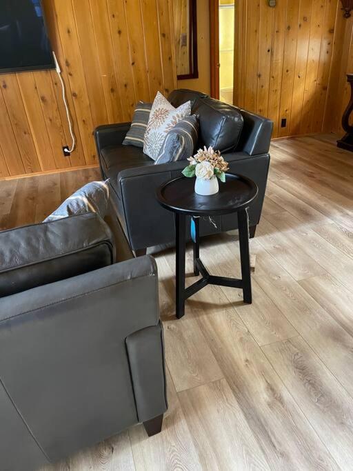 Pine Oaks Cabin view 5