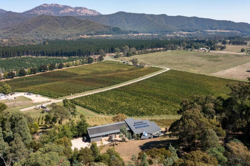 The Vineyard Residence