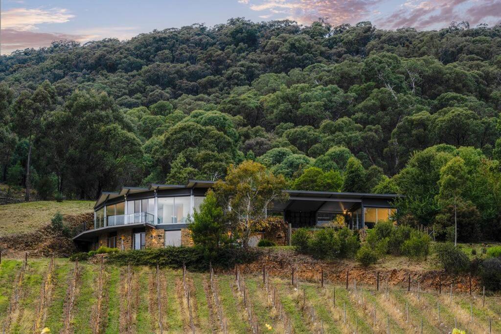 The Vineyard Residence