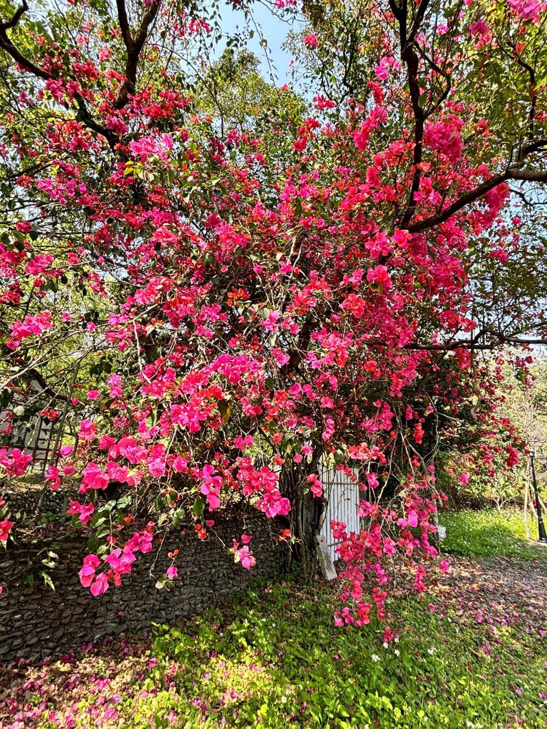 Brookburg