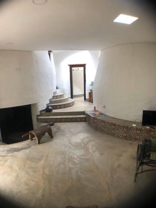 Casa Domo MT