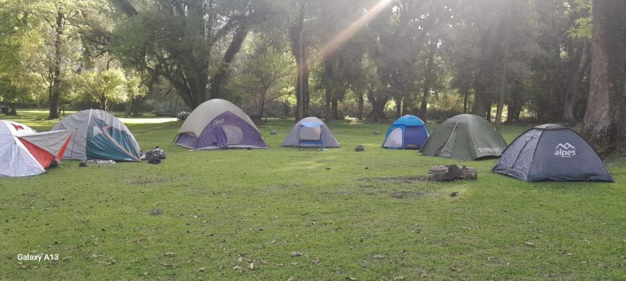 camping Los amigos