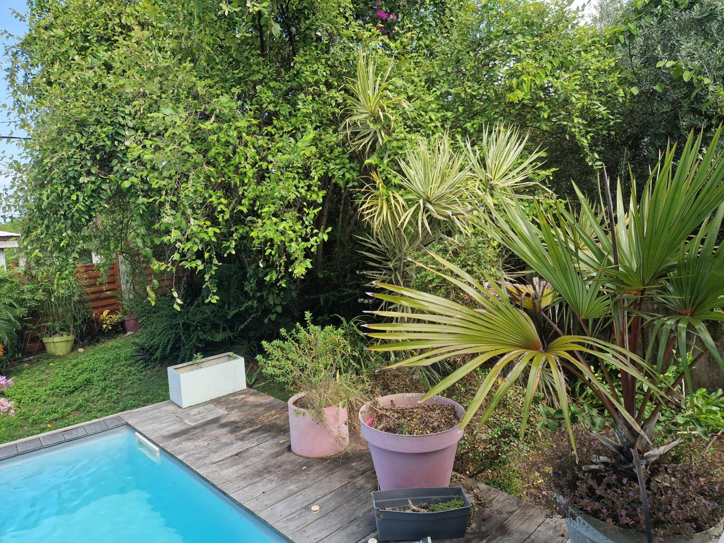 villa Major holidays