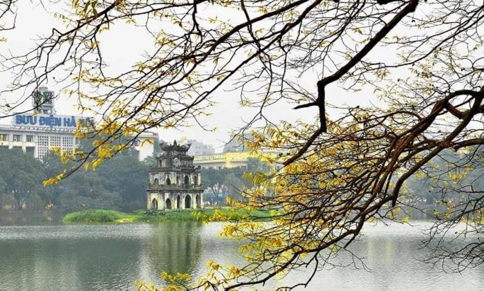 Little Seeds House-Hanoi, 4Brs,Cinema, Old Quarter