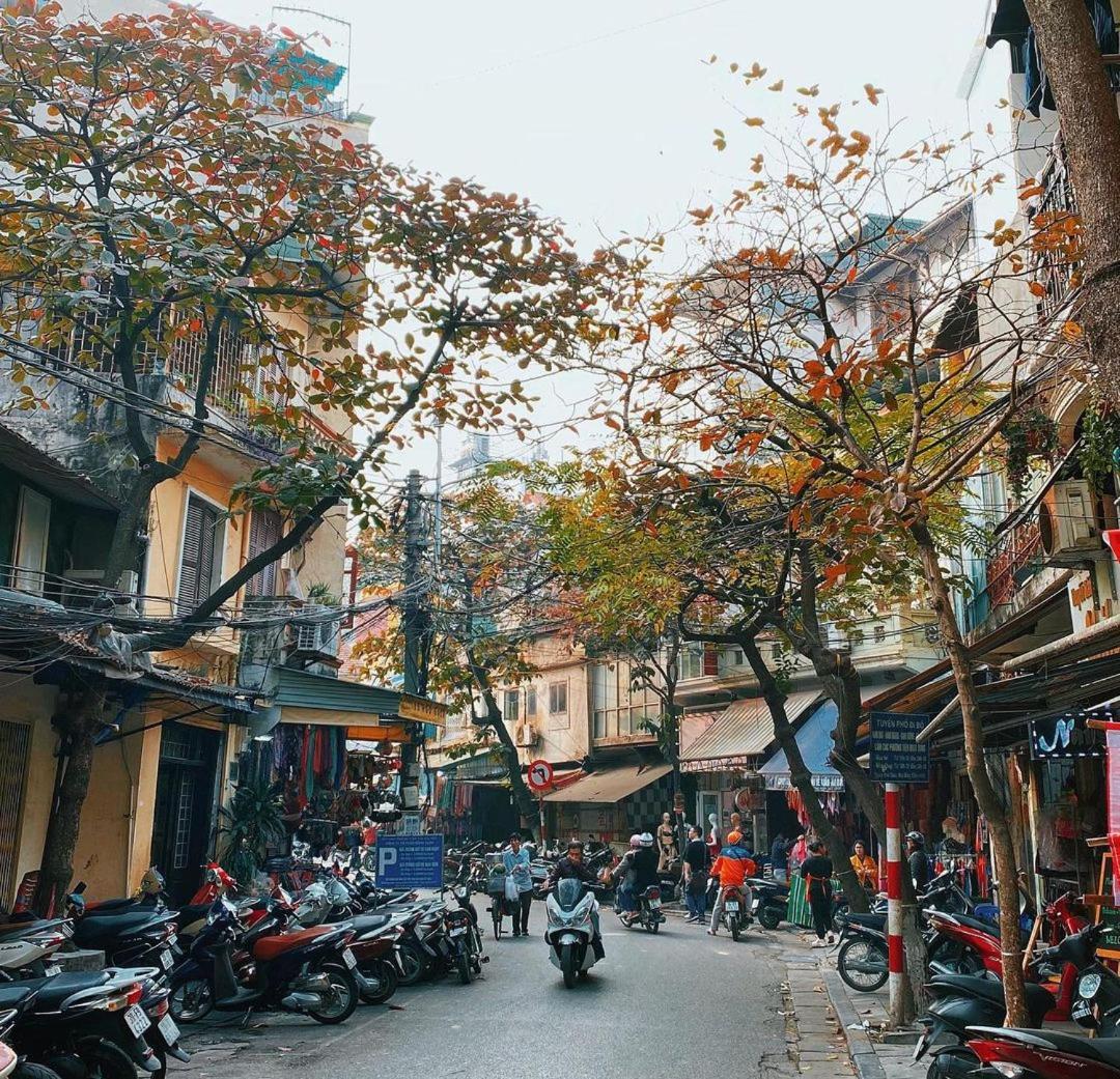 Little Seeds House-Hanoi, 4Brs,Cinema, Old Quarter