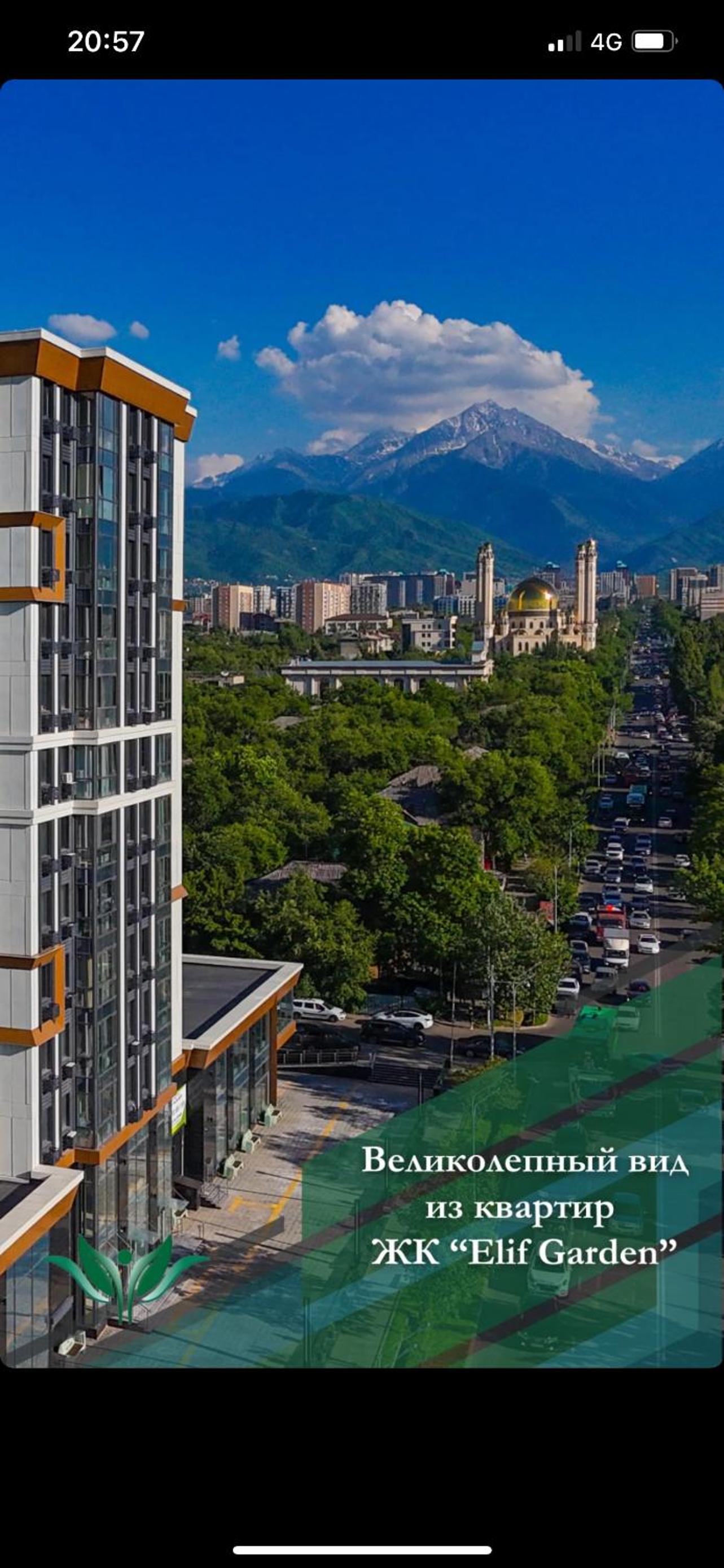 City view Apartment