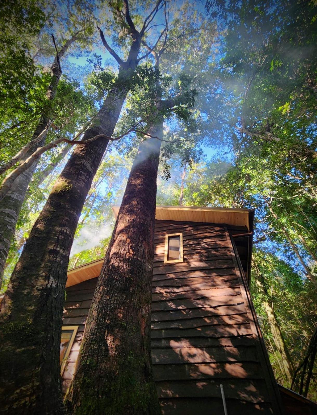 Cabaña Alto del Bosque