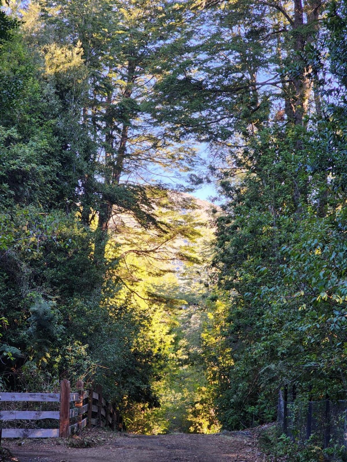 Cabaña Alto del Bosque