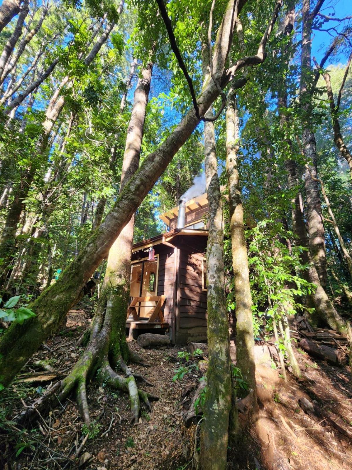 Cabaña Alto del Bosque