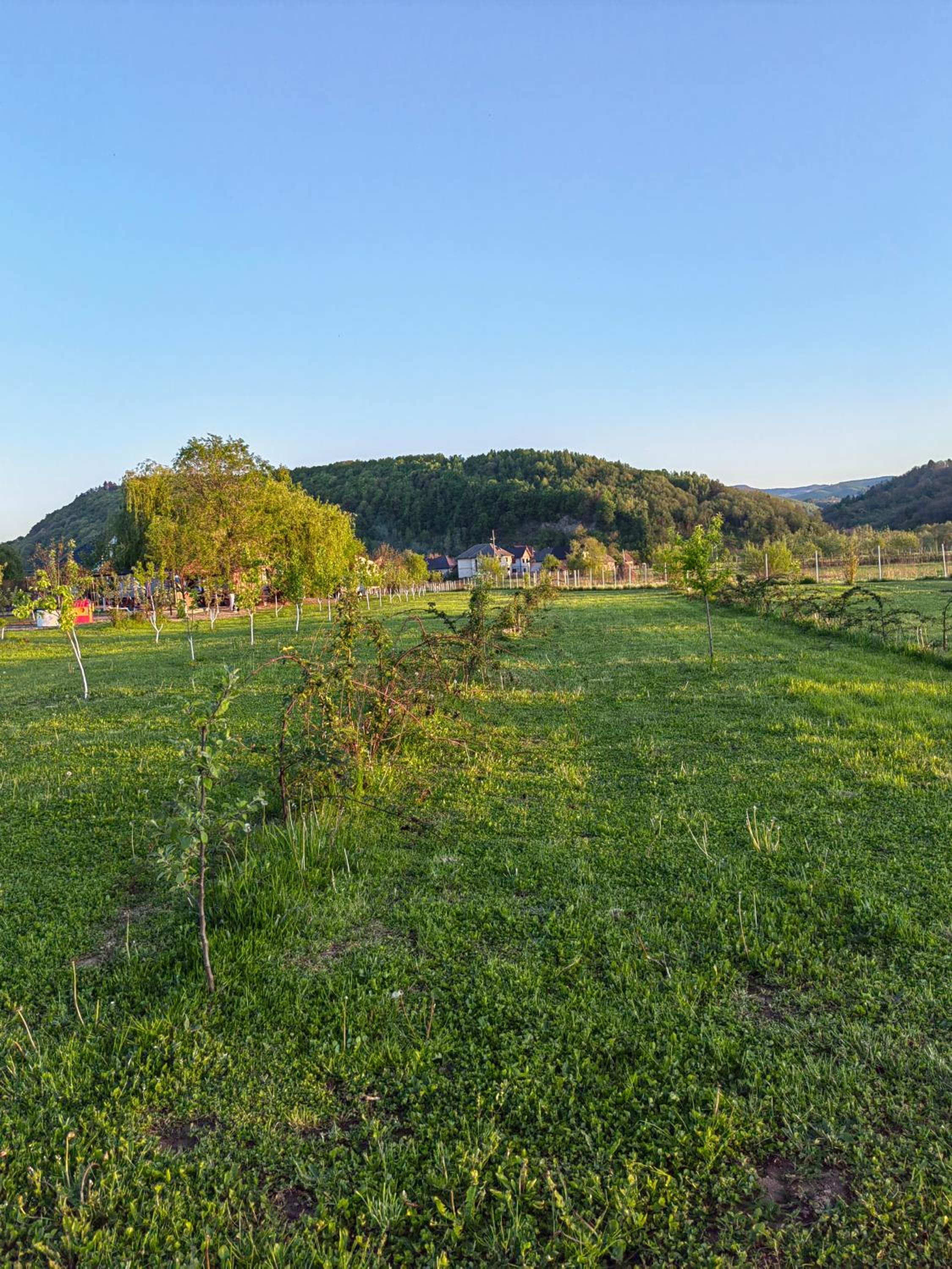 Casa Boila