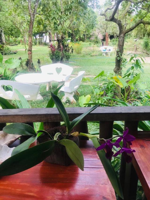 Balili Garden at Nacpan view 2