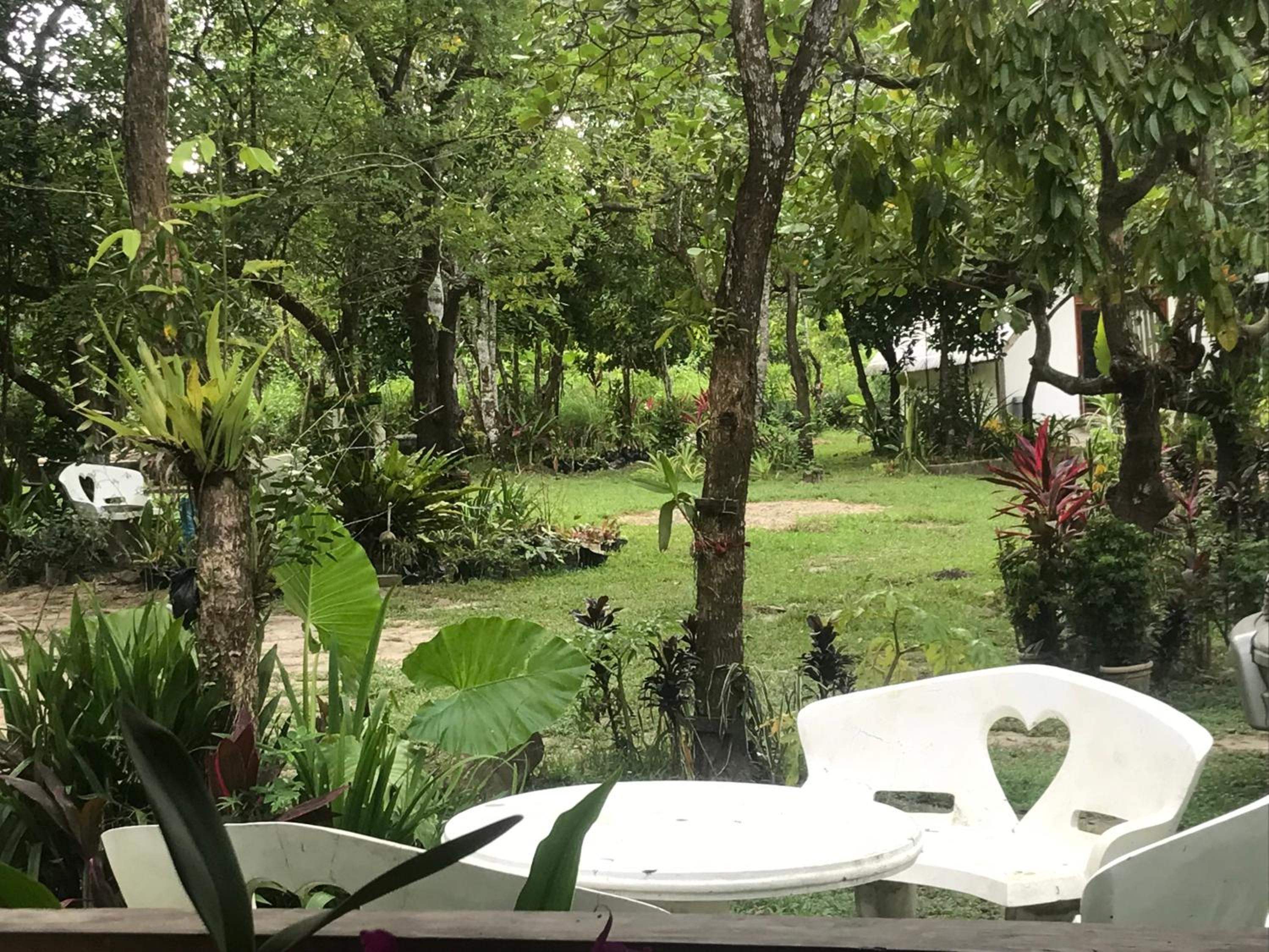 Balili Garden at Nacpan view 3