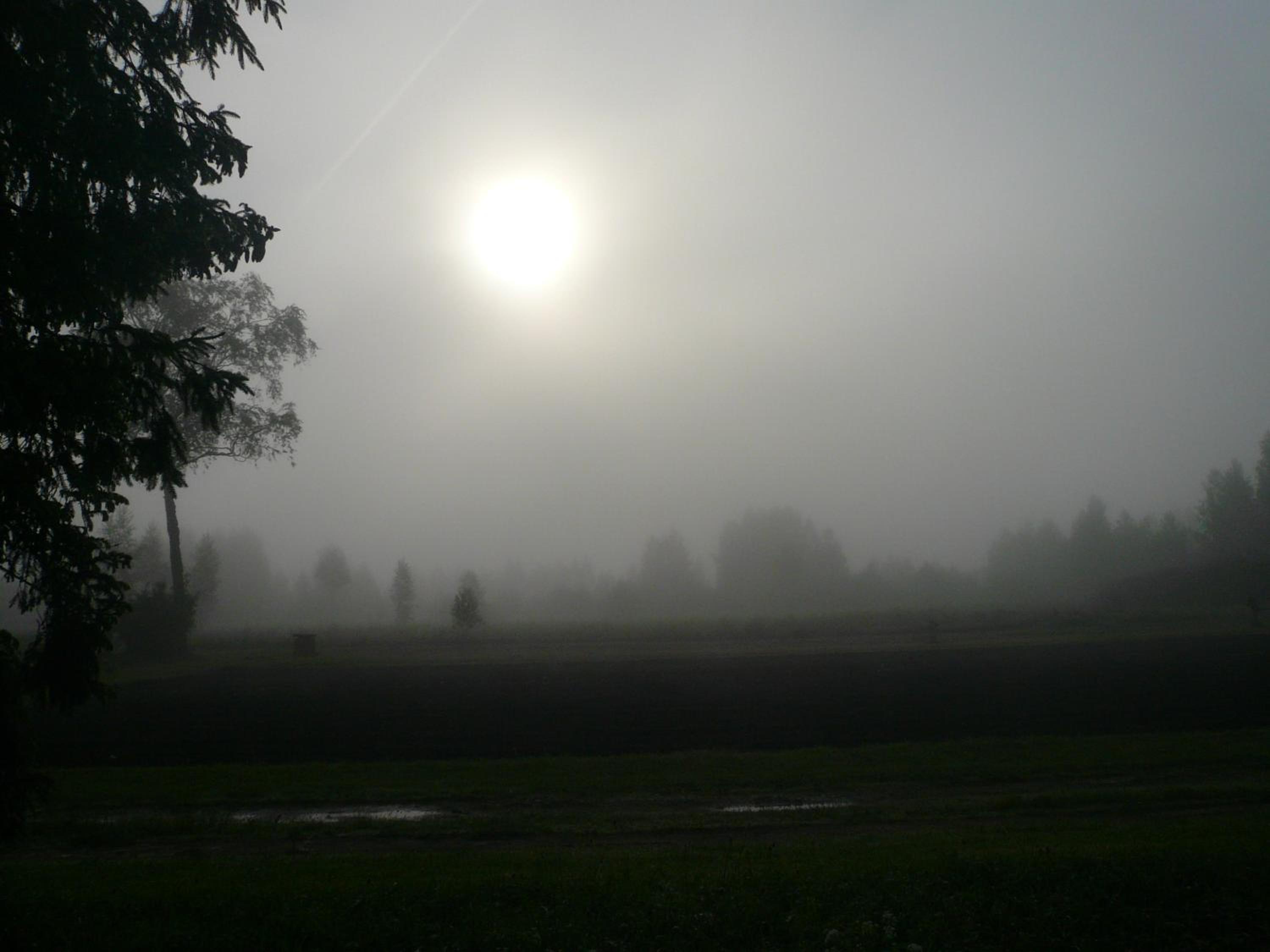 Kargoja Talu