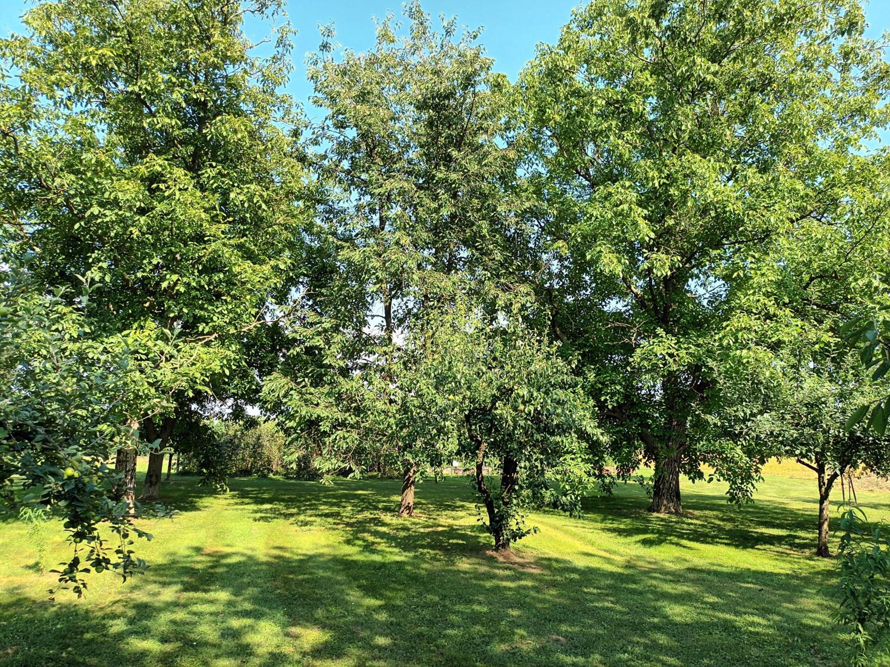 Sweet Country House view 4