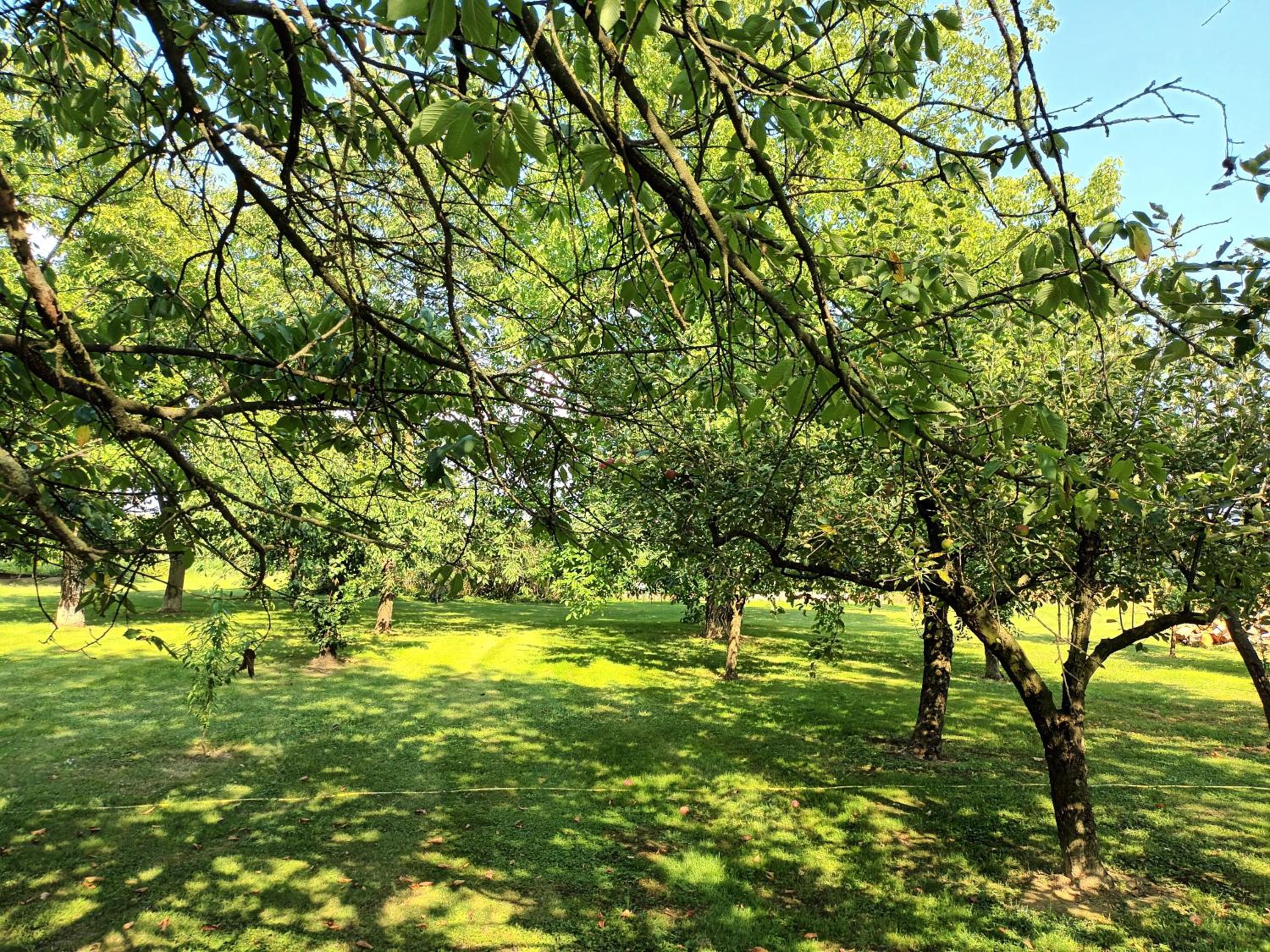 Sweet Country House view 5