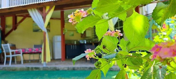 Kaz Alberto - TropicalKaz Guadeloupe view 3