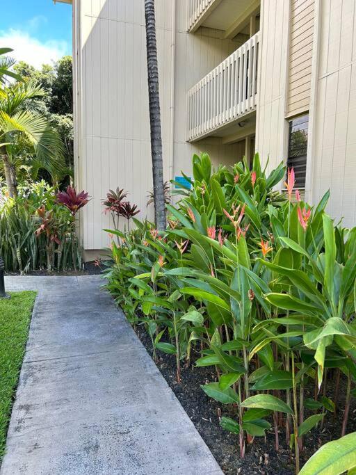 Amazing condo peaks of ocean view On Ali'i Dr by surf spots view 4