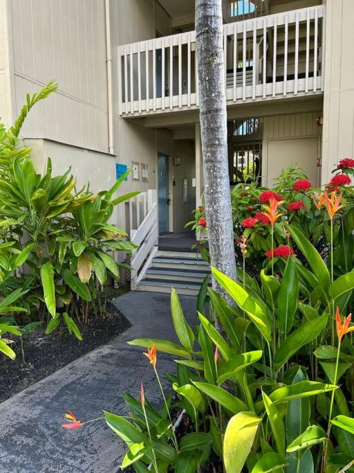 Hotel Amazing condo peaks of ocean view On Ali'i Dr by surf spots - Image 1