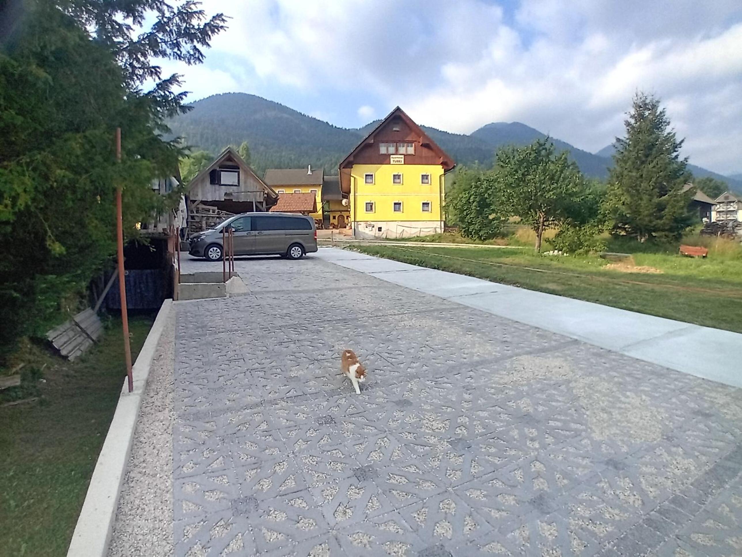 Photo 14