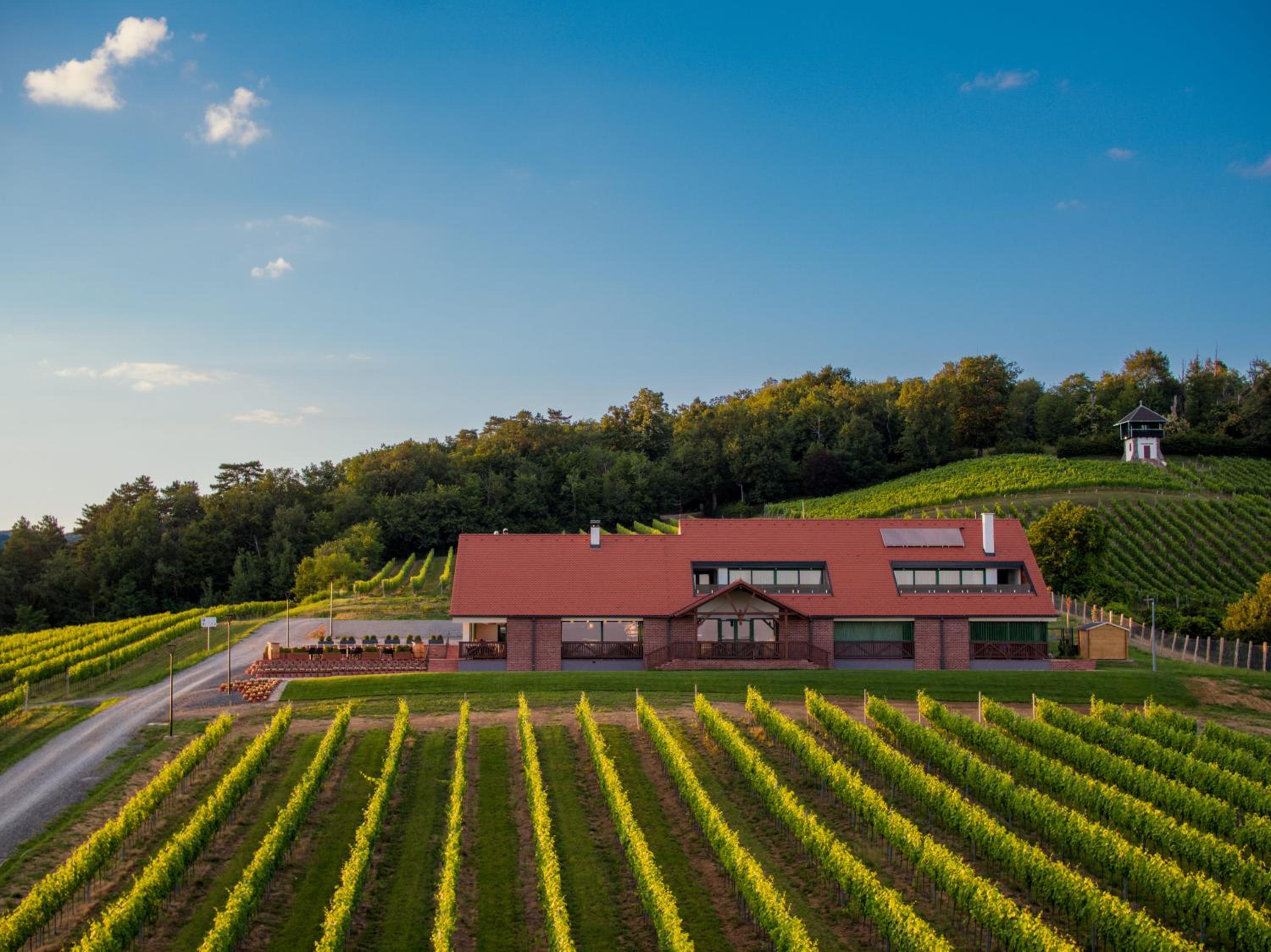 Vila Vinkomir