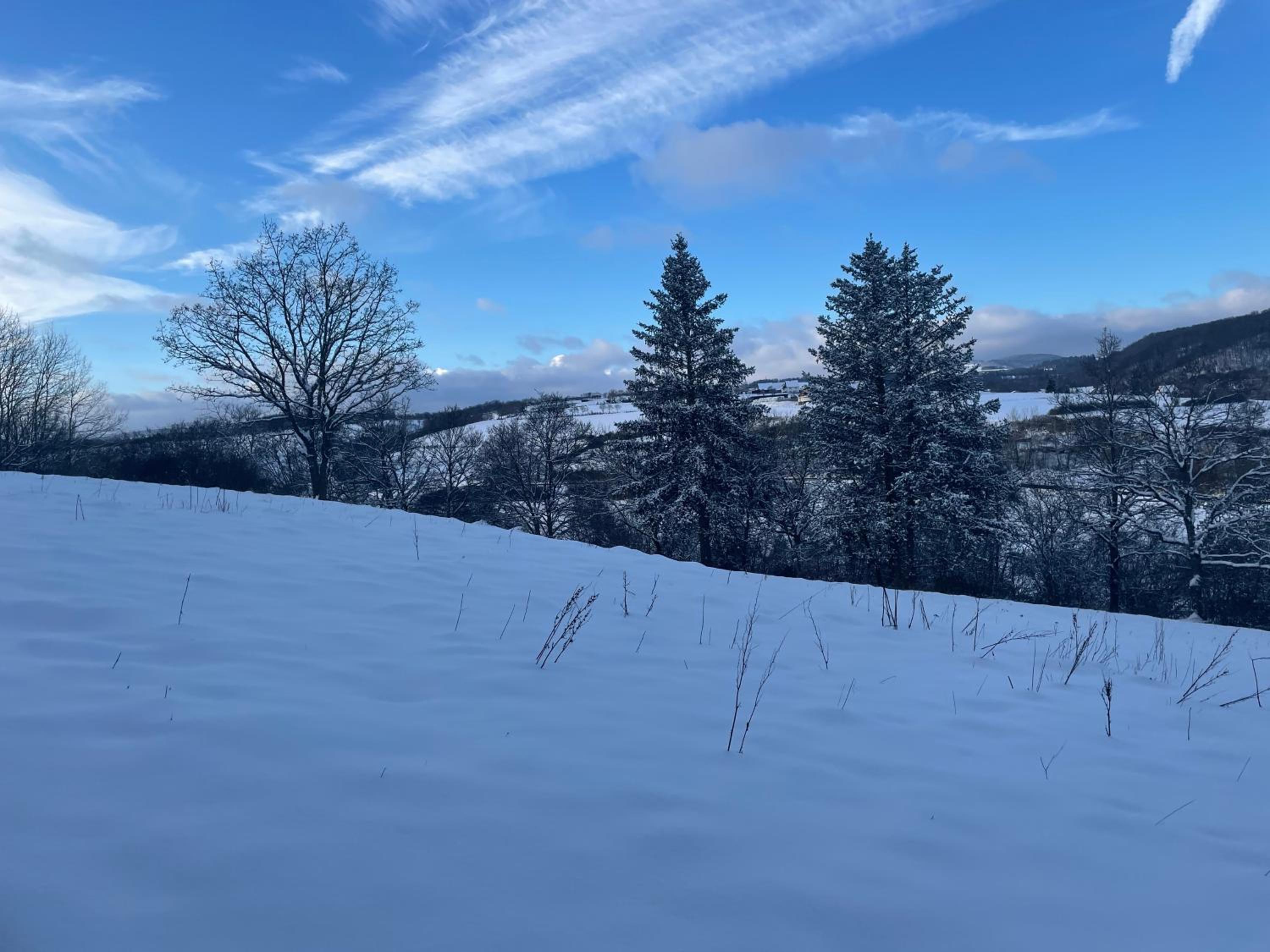 Familienurlaub pur III KINDER UND JUGENDLICHE bis 17 frei III HUND willkommen III SAUNA im Haus III Natur direkt vor der Tür III nah an Winterberg für Ski 