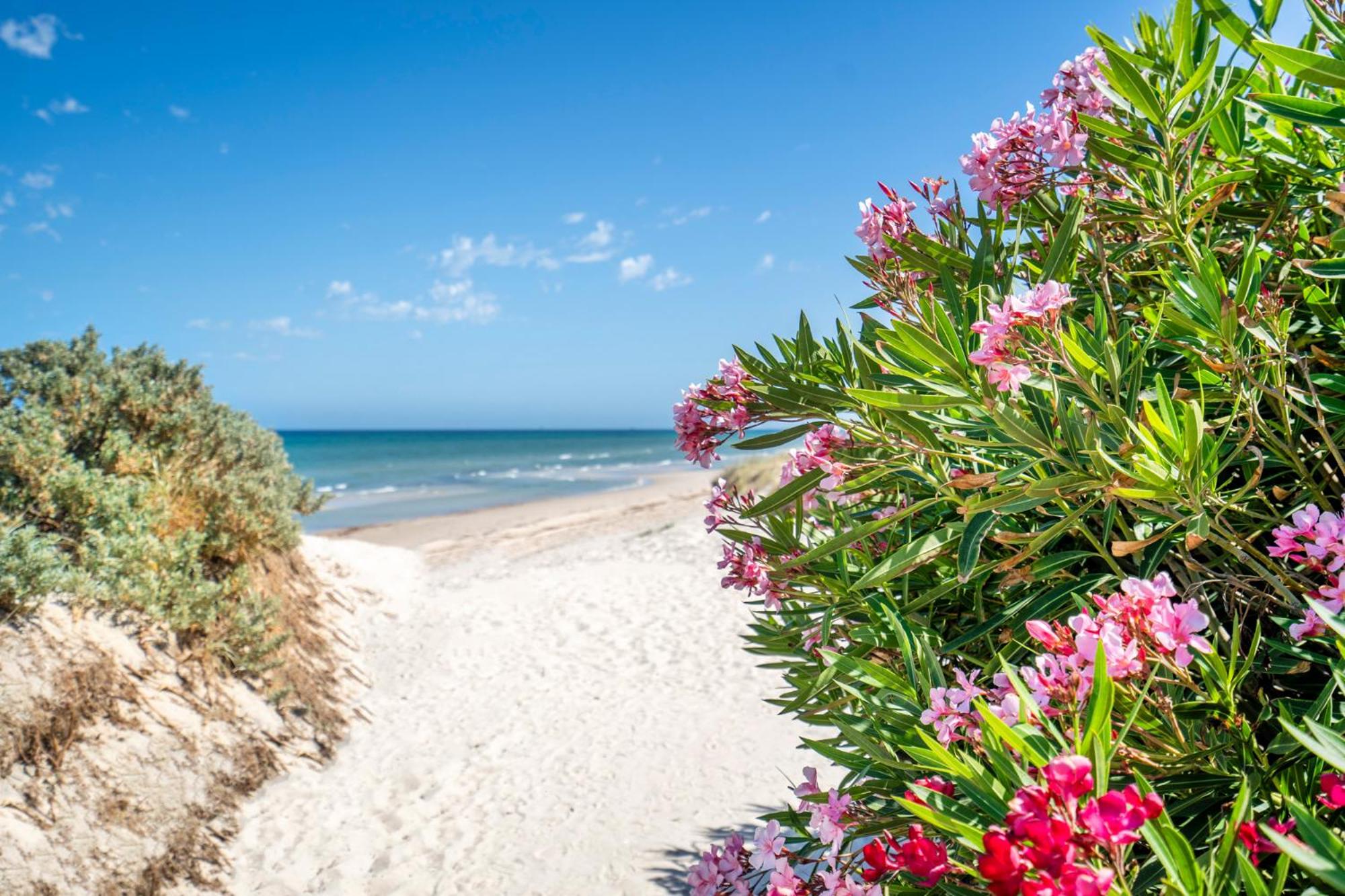 Beach Stayz Semaphore Upstairs Two Bedroom Apartment