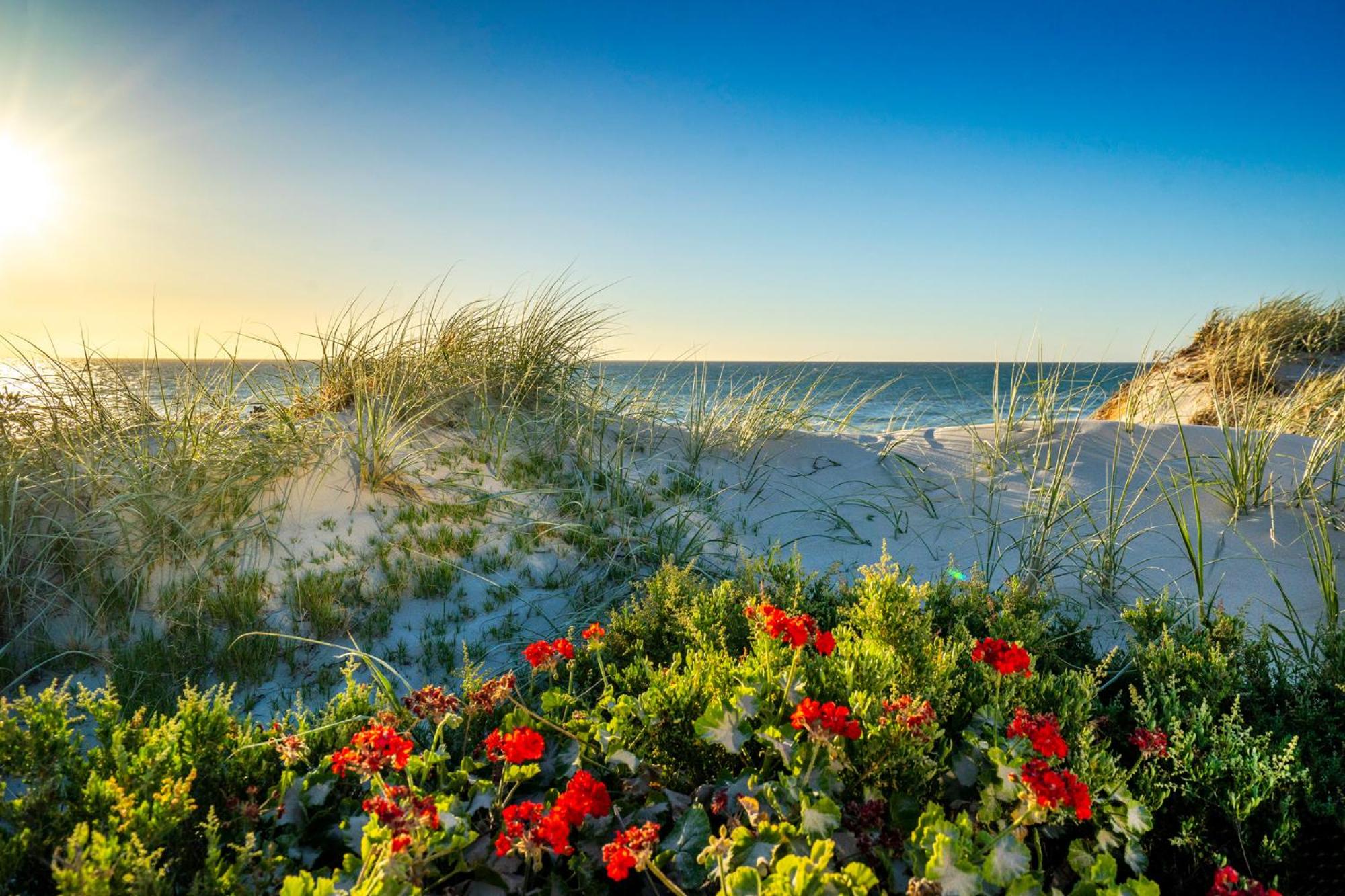 Beach Stayz Semaphore Upstairs Two Bedroom Apartment