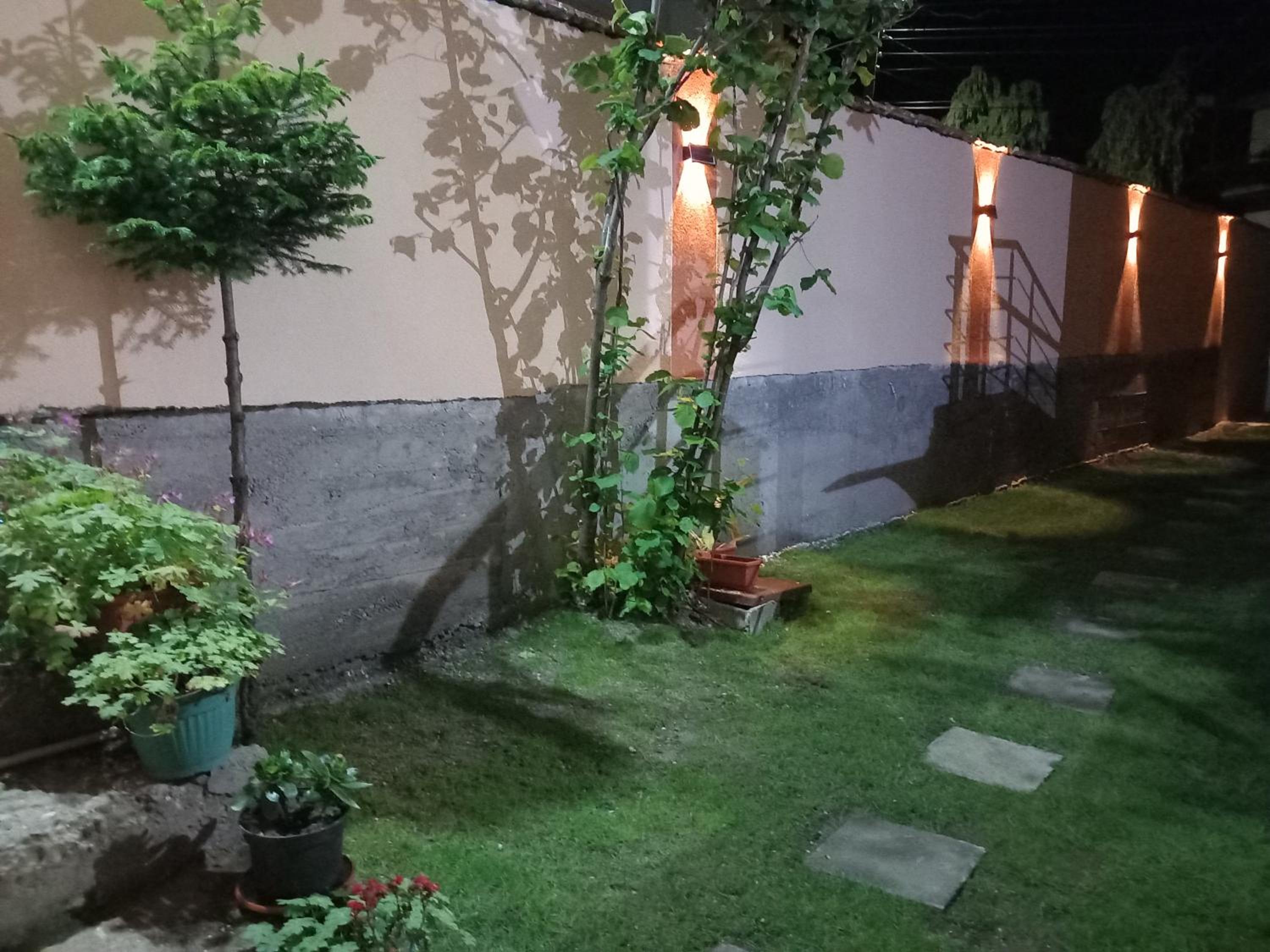 ViBo Guesthouse