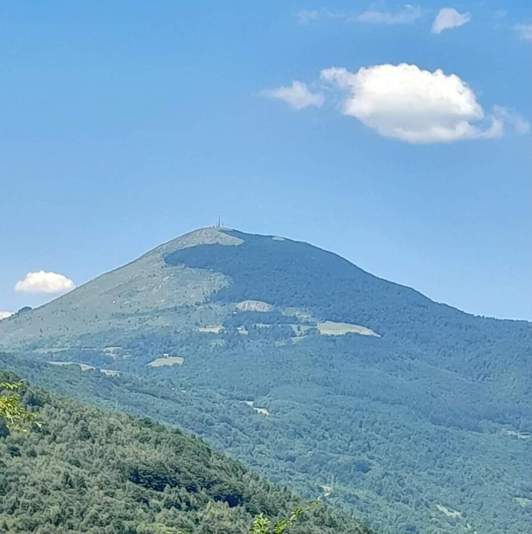 Ljetna bašta 