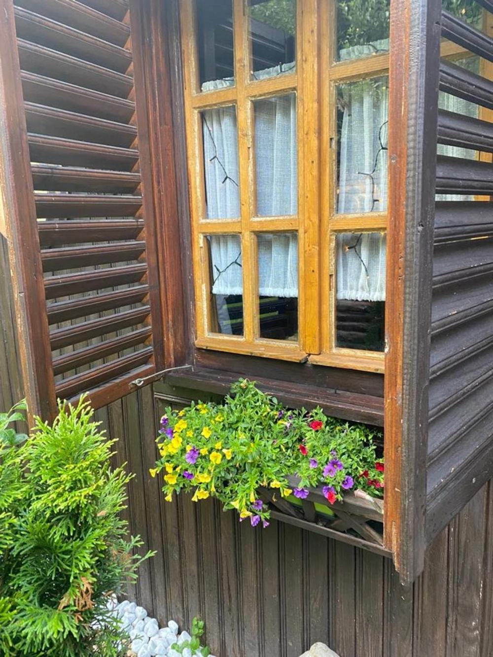 Chalet Milenium Residence Bran