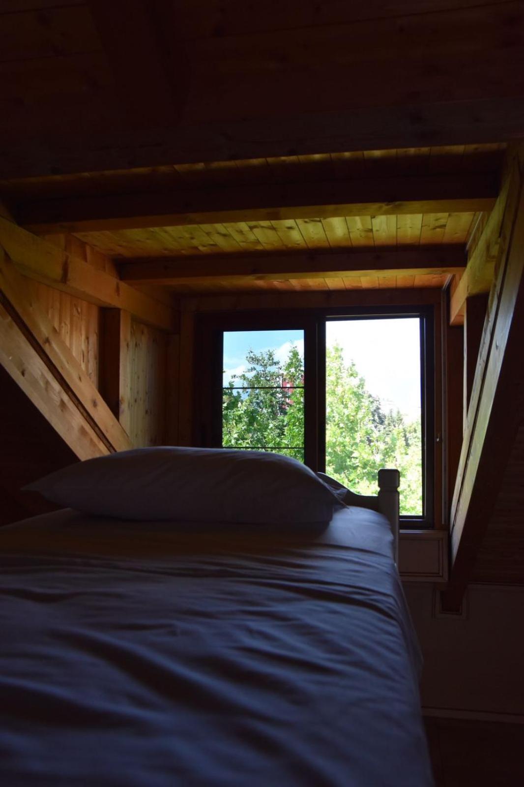 Symphony Hostel Shkoder