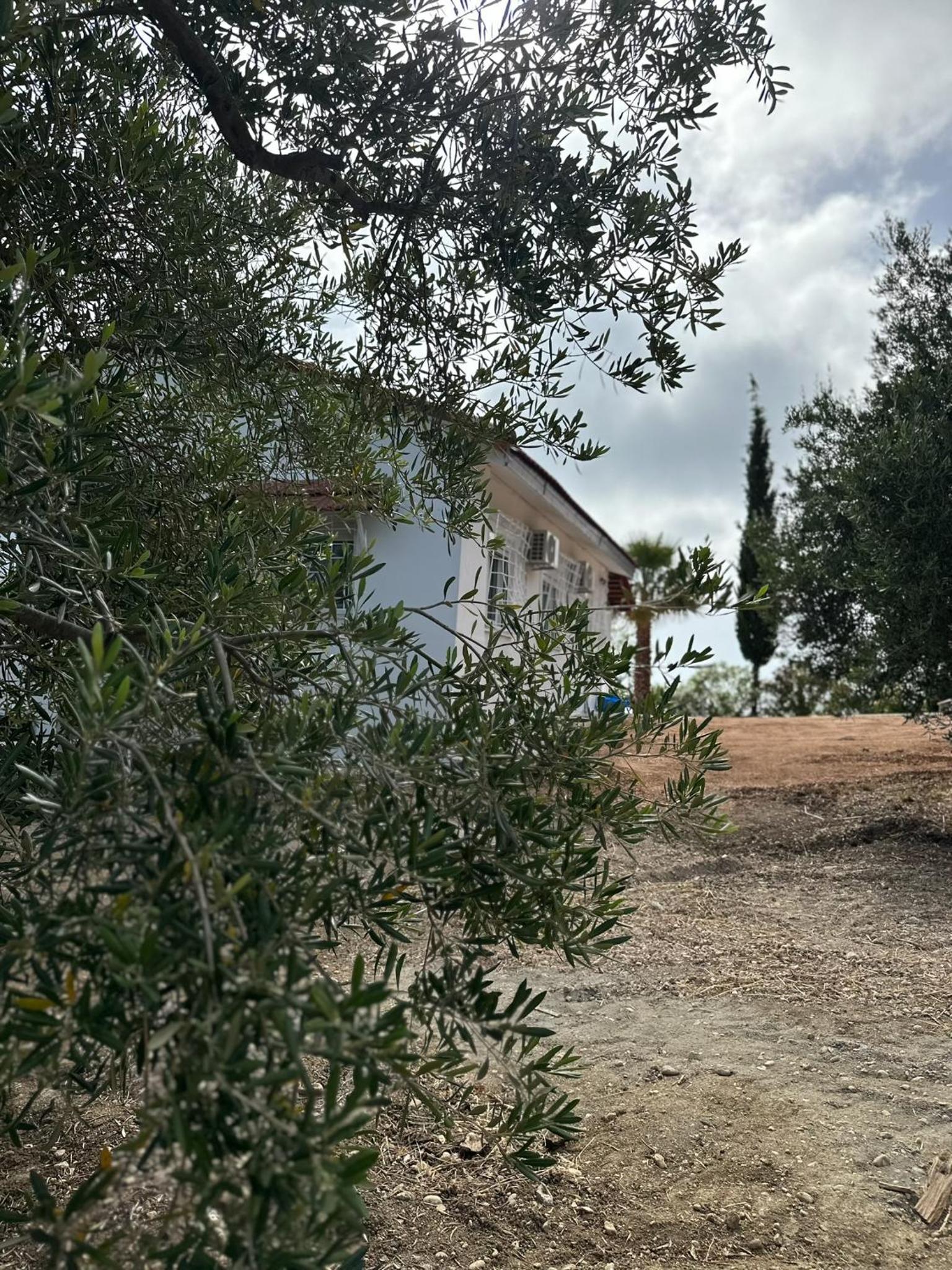 Villa Naturaleza