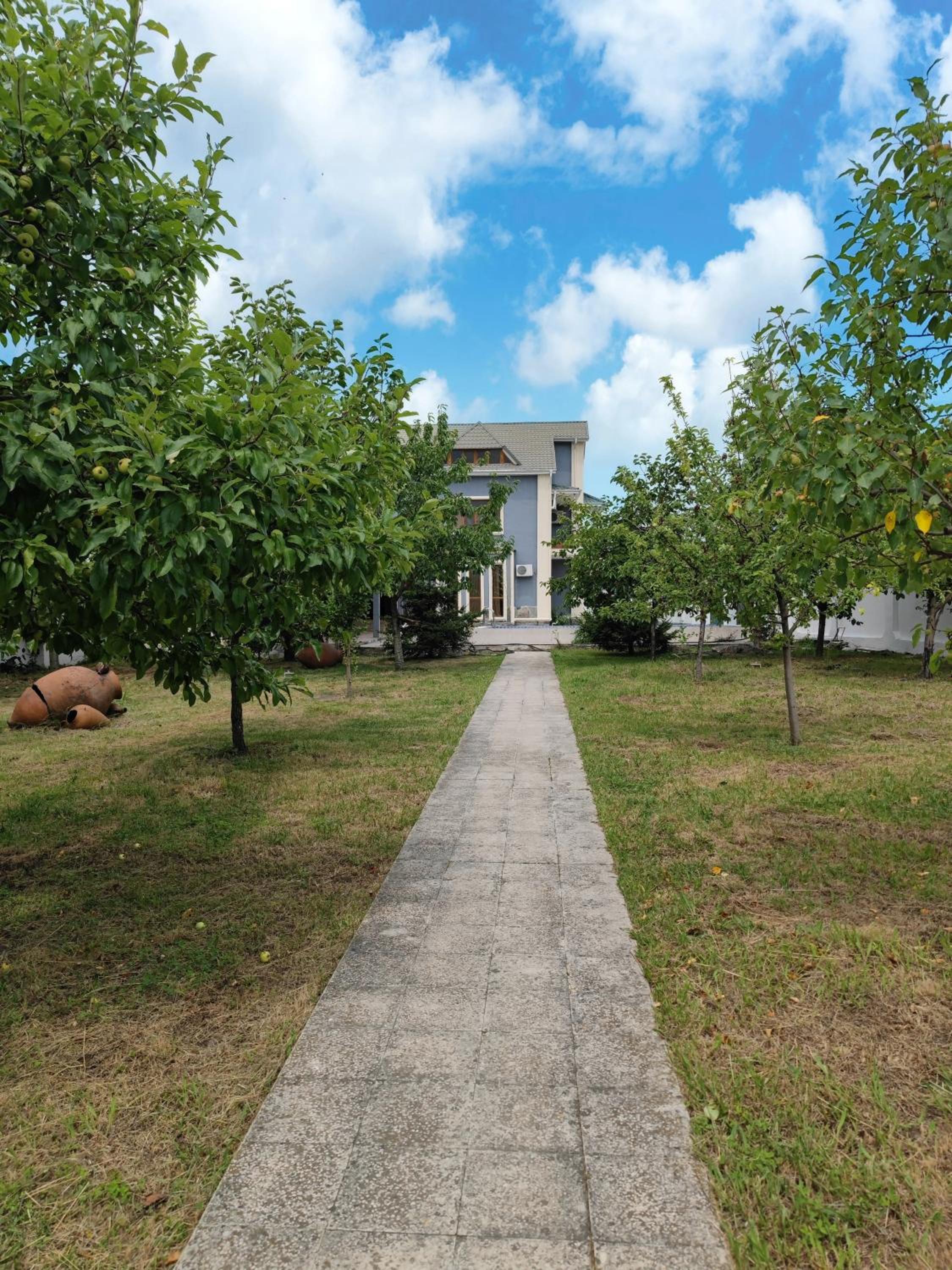 Big villa