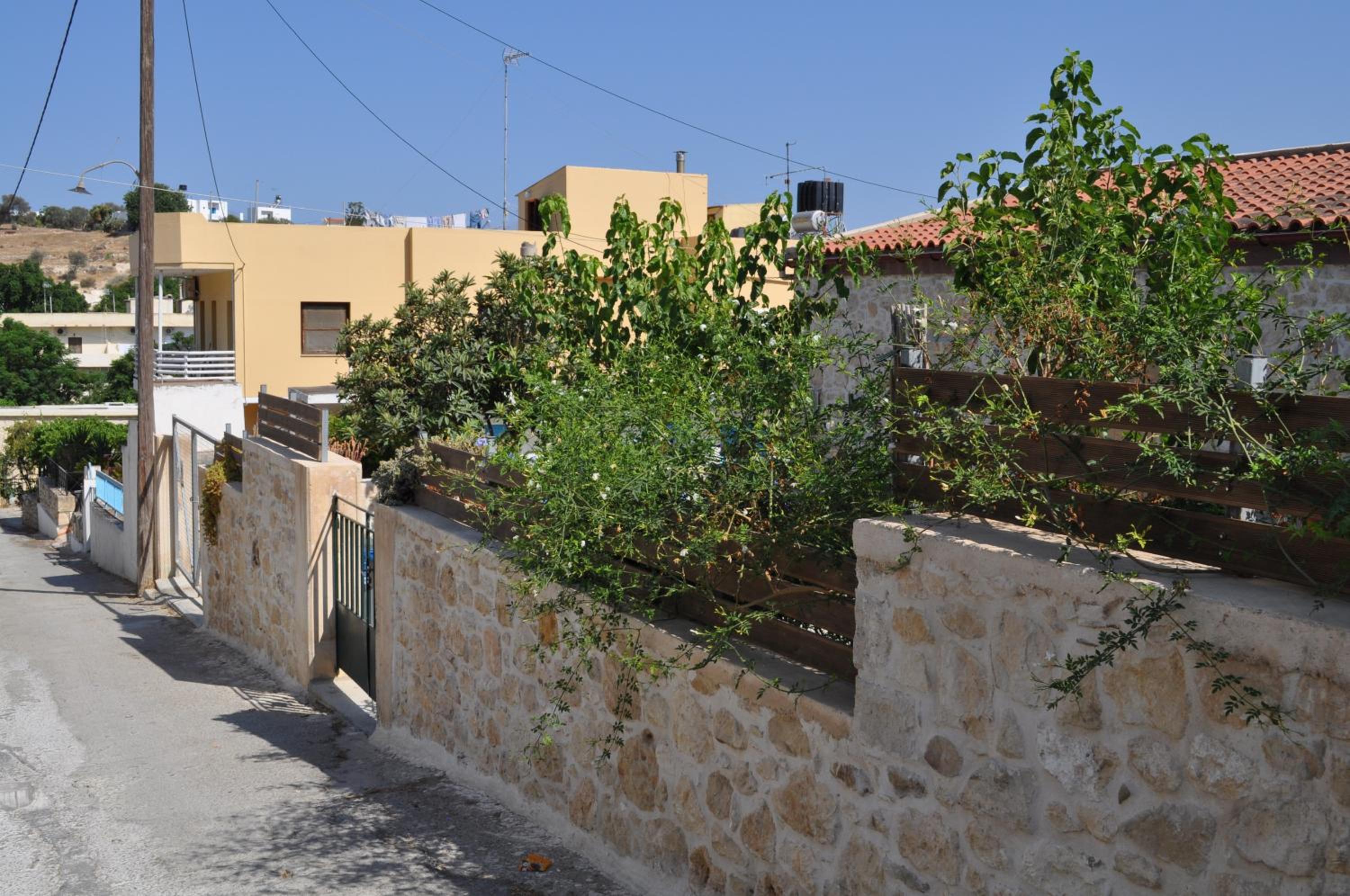 Apanemi