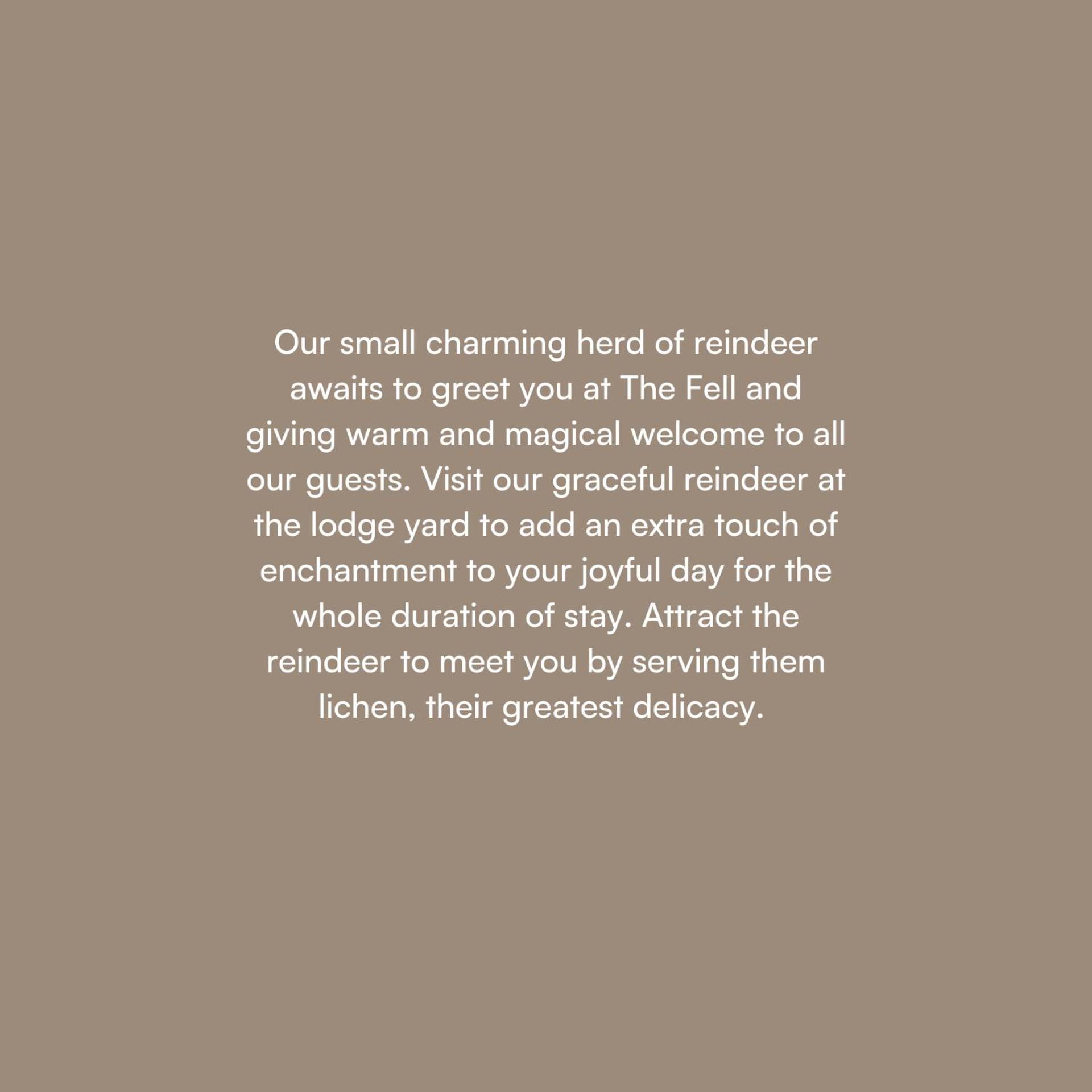 The Fell