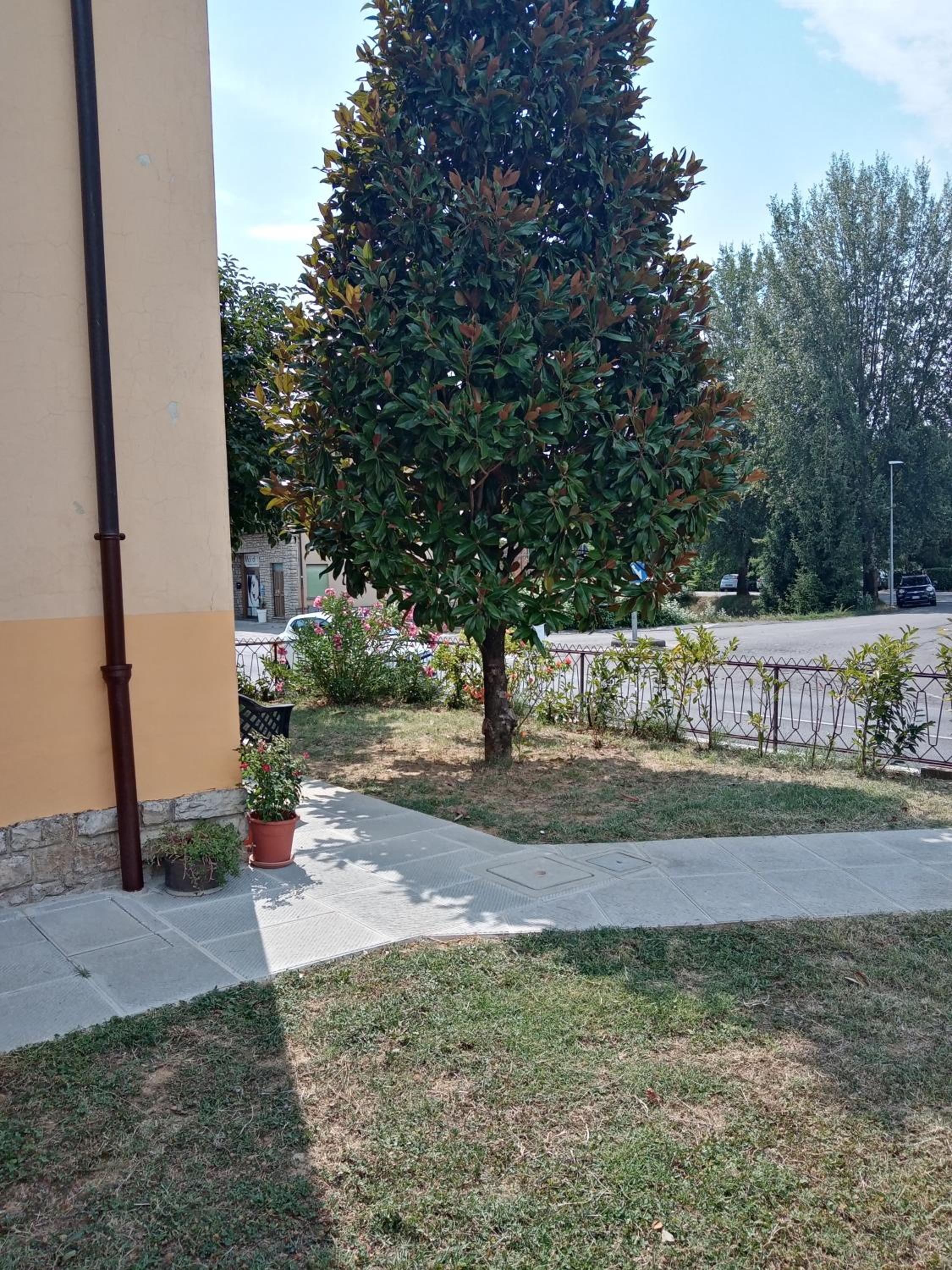 Photo 45