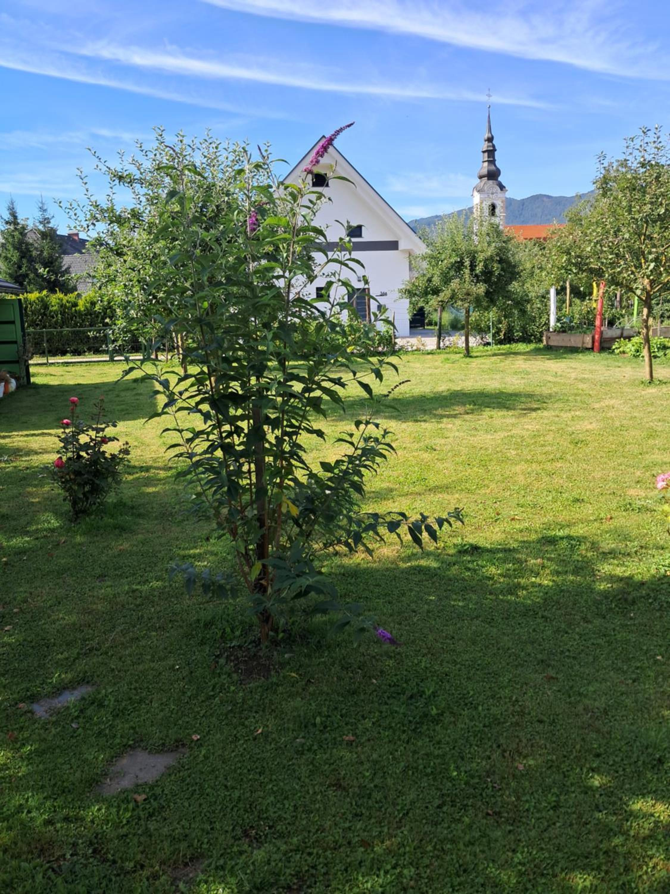 Apartment BellArt with Sauna view 5