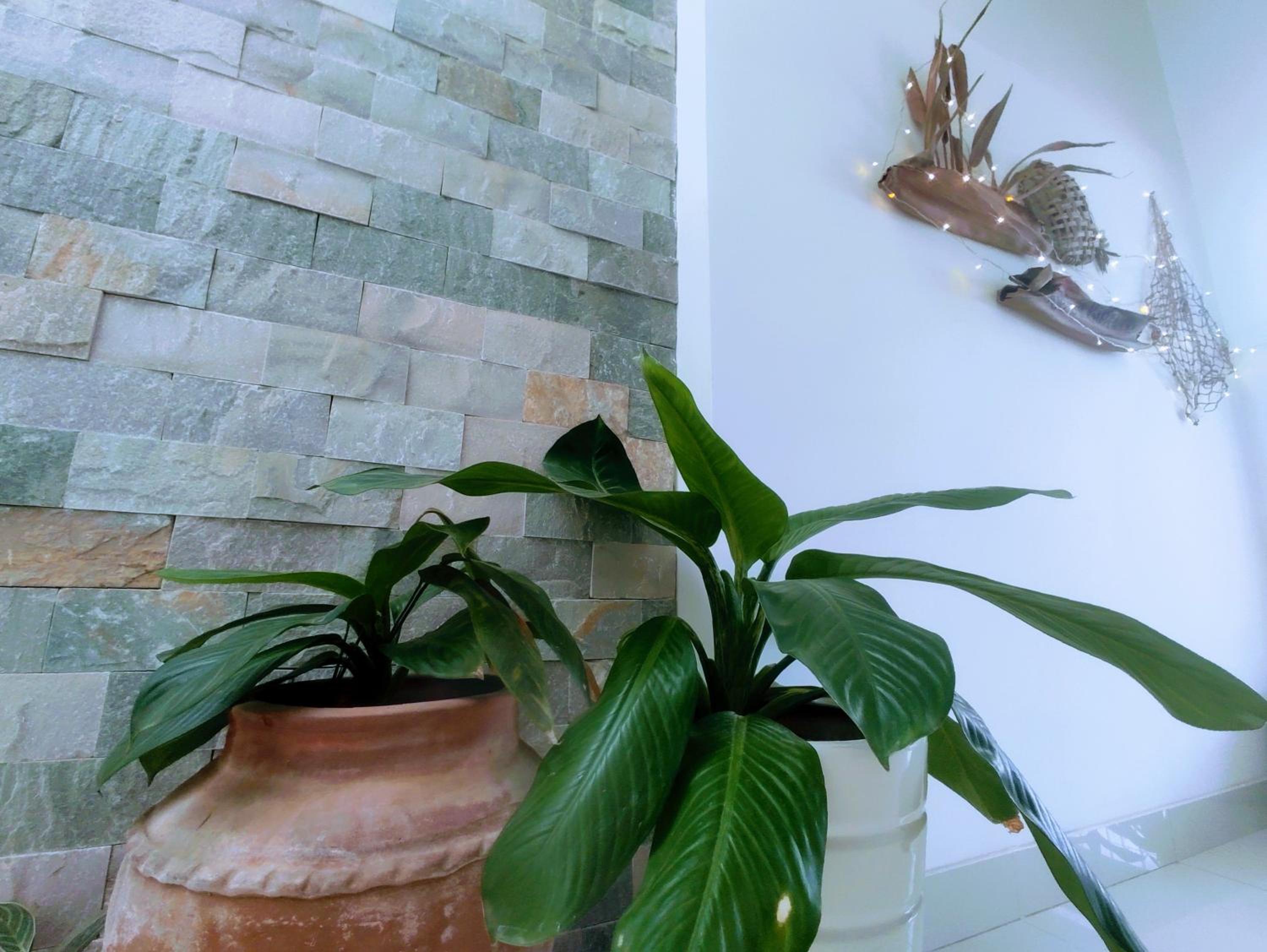Nạp Homestay, photo 9
