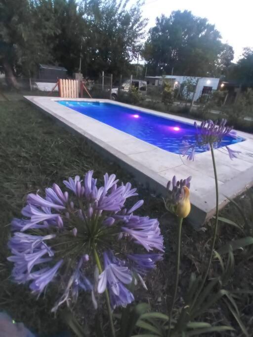 Los Altos Del Bosque