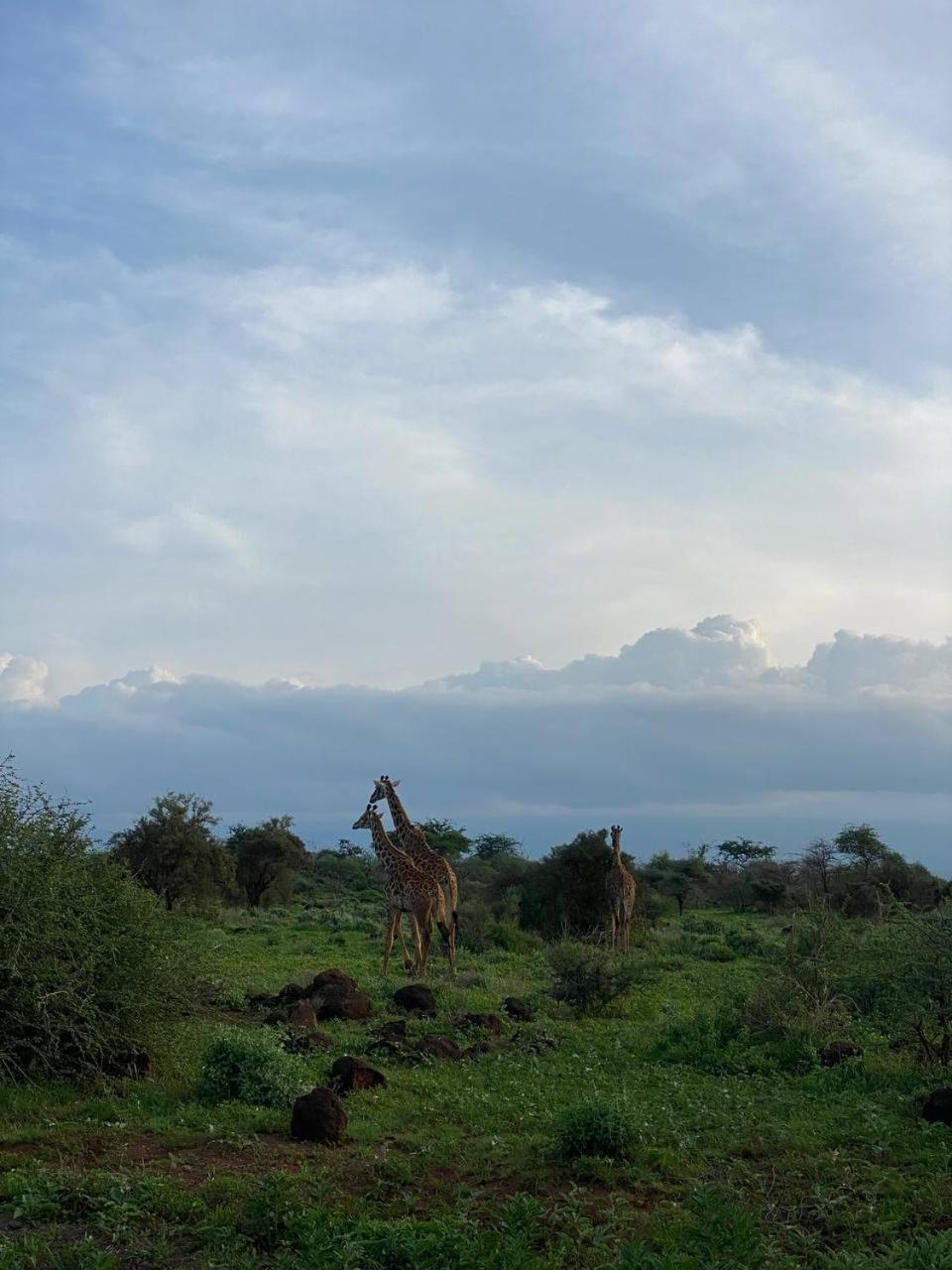 Villa Maasai Amboseli