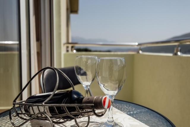 Vasiljevic Grand Apartment view 3