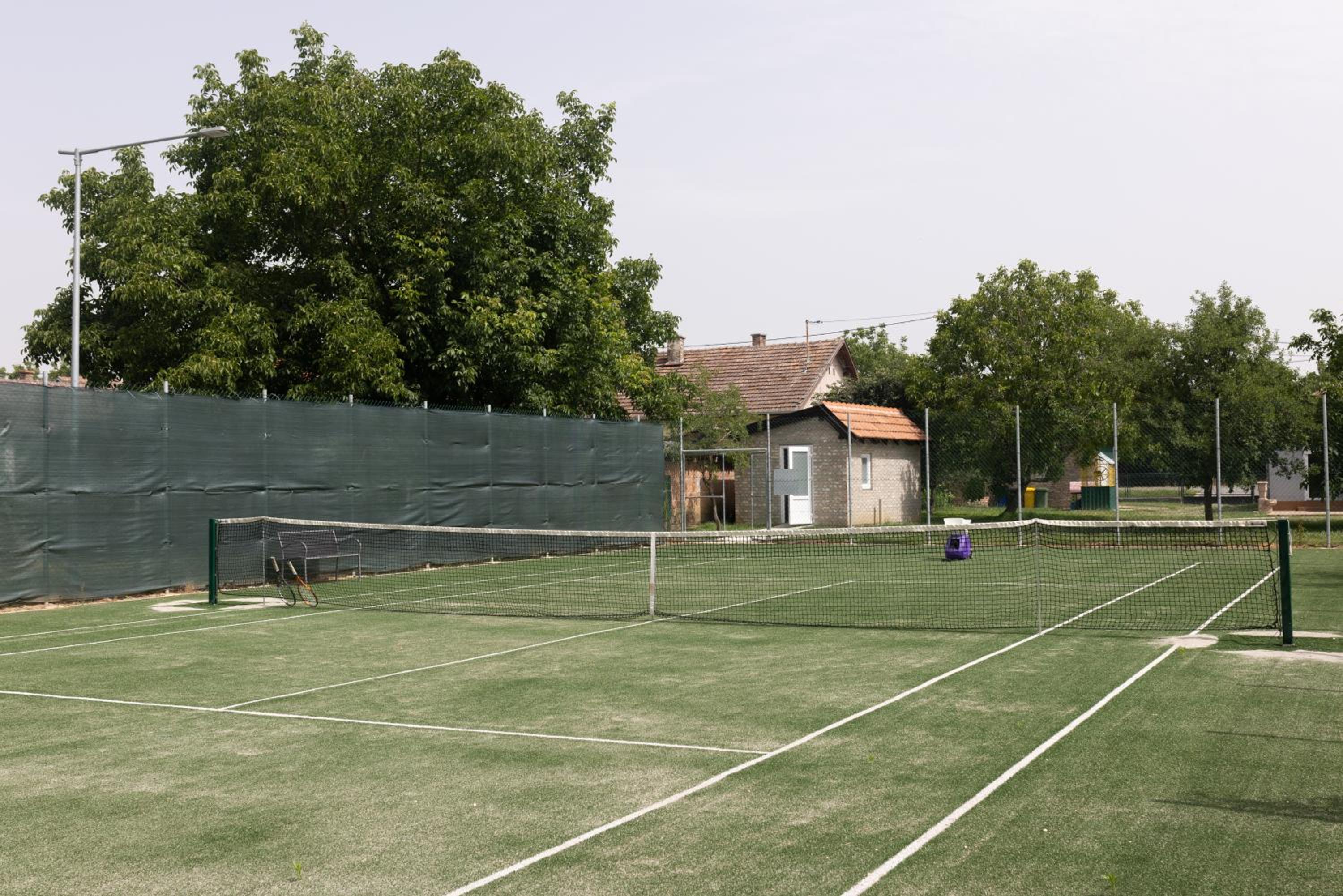 Photo 11